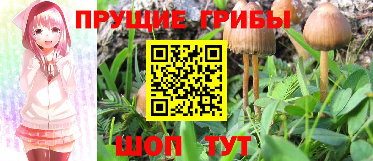 ГАШИШ Красноуфимск