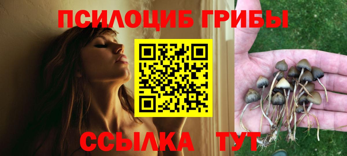 Галлюциногенные грибы Psilocybe Красноуфимск